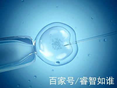 胚胎培養